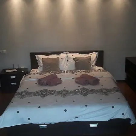 Apartament Central Luxurios Studio *